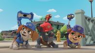 Rubble und Crew – v.li.: Wheeler, Charger, Mix