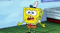 SpongeBob Schwammkopf – SpongeBob