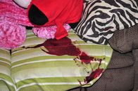 Unfall, Selbstmord oder Mord – Mo, 08.01., 01:55 Uhr
