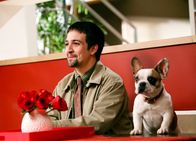 Modern Family – Guillermo (Lin-Manuel Miranda), den Gloria irgendwo aufgegabelt hat, möchte dem erfolgreichen Geschäftsmann Jay seine neueste Entwicklung vorstellen, die 'Gutes Hundchen, böses Hundchen'-Leckerlis.