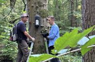 pur+ – Moderator Eric Mayer sucht Fledermäuse! Zusammen mit Fledermausbotschafter Wolfram Blug macht er sich im Wald auf die Suche. Sie kontrollieren die Fledermaus-Kästen, die extra für die Fledermäuse aufgehängt wurden, weil der Lebensraum der Tiere immer kleiner wird. Werden die Kästen von den Tieren angenommen? Wie bedroht sind Fledermäuse bei uns in Deutschland? Eric Mayer klärt es in dieser "PUR+"-Sendung.