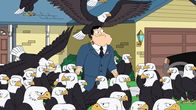American Dad! – ITALIA 1 - 1A TV NELLA FOTO: STAN