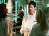 CSI: Miami – CSI: Miami (2010)