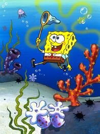 SpongeBob Schwammkopf – Fr, 09.08., 18:05 Uhr