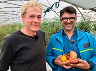 Iss besser! – Tarik bei Tomatenzüchter Jörn Meyer.