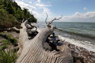 Wilde Ostsee – Der Nationalpark Jasmund ist seit 2011 UNESCO-Weltnaturerbe.