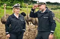 WaPo Bodensee – Ermittlungen auf der Straußenfarm: Nele (Floriane Daniel, l.) und Andreas Rambach (Ole Puppe, r.).