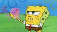SpongeBob Schwammkopf – SpongeBob