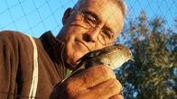 Zugvögel – Der Ornithologe Alex Onrubia beringt Vögel in Andalusien.