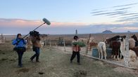 Cowboys und Indianer – Irene füttert ihre vielen Tiere. Platz genug hat sie auf ihrer Farm im Navajo-Reservat. Aber das Heu fehlt.