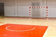 Handball: Testspiel der Damen – Indoor handball goal