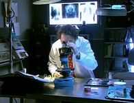 F.B.I. - Dem Verbrechen auf der Spur – Using forensic means, F.B.I. finding the killers.