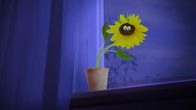 Unser Sandmännchen – Die kleine Blume braucht ganz schnell Wasser!