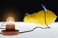 Impulse – Mehrere Zitronen in Reihe können genug Strom für eine Taschenlampe erzeugen.