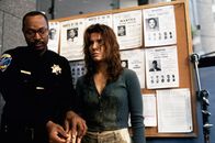Das Netz – Als Computerexpertin Angela (Sandra Bullock) eine Diskette mit einem geheimnisvollen Entschlüsselungsprogramm analysieren soll, kommt sie dabei einer einflussreichen Organisation von Daten-Terroristen gefährlich nahe..