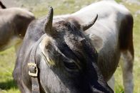 Expeditionen: Zu Tisch ... – Mo, 15.09., 05:30 Uhr