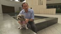 Mysterien des Weltalls – Dr. David Edelman untersucht, ob sein Hund ein subjektives Bewusstsein besitzt.