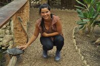 Anna und die Haustiere – In der Reptilienauffangstation geht es allen Schildkröten super. Riesige Terrarien mit viel Auslauf bieten perfekte Lebensbedingungen.