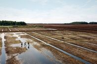 Paradiese aus Menschenhand – Pionierarbeit in Litauen: Ein Torfabbaugebiet wird wieder in ein Moor umgewandelt.