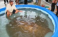Zeb Hogans Monsterfische – Zeb discusses what he is going to do with the stingray.