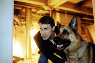 Kommissar Rex – Kommissar Brandtner (Gedeon Burkhard) und Rex sind bei einer Verfolgungsjagd in einen brennenden U-Bahn-Schacht geraten ...