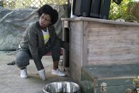 Navy CIS – Kasie Hines (Diona Reasonover)