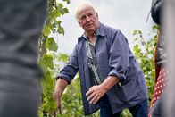Landfrauenküche – Carolin Meyers Vater Hans zeigt den Landfrauen die Weinberganlagen.