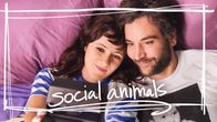 Social Animals – Social Animals - Artwork