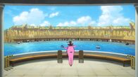 One Piece: Stampede – Donald Moderate