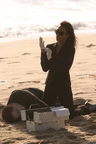 CSI: Miami – CSI: Miami (2004)