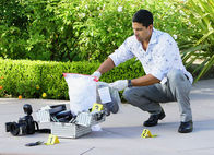 CSI: Miami – CSI: Miami (2011)