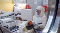 WELTjournal + – 2 Jahre nach Ausbruch der Pandemie ist die Herkunft des Virus nach wie vor ungewiss – für die Experten der WHO gilt als wahrscheinlichstes Szenario, dass das Virus am Wildtiermarkt in Wuhan auf den Menschen übergesprungen ist.