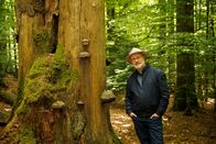 Terra X Harald Lesch – Wunderwelt im Wandel: Harald Lesch erkundet den deutschen Wald.