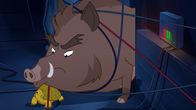 Törtel – Wie sollen sich Schildkröte Törtel (u.) und Wildschwein Grrmpf aus dieser brenzligen Lage, umgeben von Kabeln und Elektrizität, nur befreien?