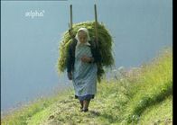 Der Letzte seines Standes? – Altbäuerin Germana Thöni - die Letzte im Südtiroler Ultental, die vollständige Selbstversorgung mit den Produkten betreibt, die der Berg und die Landschaft hergeben.