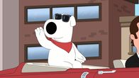 Family Guy – Brian Griffin