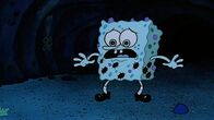 SpongeBob Schwammkopf – SpongeBob