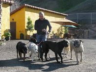 Der Hundeflüsterer – (6. Staffel) - Egal ob Bello, Fiffi oder Wuffi, Cesar Millan hat für jeden Vierbeiner die passende Lösung parat. Der Hundeprofi ist momentan der berühmteste und gefragteste Experte in Sachen Hundetraining ...