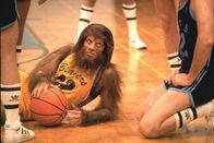 Teen Wolf – Wie die meisten Jungs seines Alters wünscht sich auch der junge Scott Howard (Michael J. Fox) nur eines: Er möchte herausstechen aus der Masse und etwas ganz Besonderes sein. Eines Tages wird sein Wunsch auf eine unheimliche Art erfüllt ...