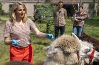 Praxis mit Meerblick – Lamas als Infektionsträger? Nora (Tanja Wedhorn) nimmt eine tierische Blutprobe. Max (Bernhard Piesk) und Astrid (Nele Rosetz) schauen zu.