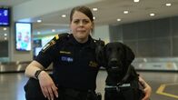 Border Control: Schwedens Grenzschützer – Grenzbeamter mit Hund