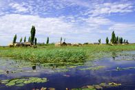 Mythos Kongo – Am Ende der Regenzeit steht in Bangweulu fast alles unter Wasser – wer von einem Ort zum anderen will, braucht ein Boot oder eine Piroge.