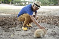 Lost Places - Geheime Welten – ?kunoshima wird heutzutage meist als "Rabbit Island" bezeichnet. Masayuki Yamauchi kennt die Geschichte dahinter: Nachdem die Kaninchen im Zweiten Weltkrieg als Versuchstiere bei Experimenten in der Giftgasfabrik herhalten mussten, siedelte die örtliche Touristenbehörde ab den 1960er Jahren die Tiere wieder bewusst an.
