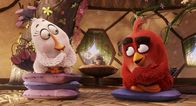 Angry Birds - Der Film – L - R: Matilda, Red