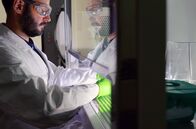 Plague Island - The World's Oldest Virus Research Lab – Neue Technologien zeigen altbekannte Viren in neuem Licht, wie etwa das Bornavirus.