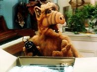ALF – ALF (1986)