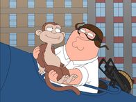 Family Guy – Affe (l.); Peter Griffin (r.)