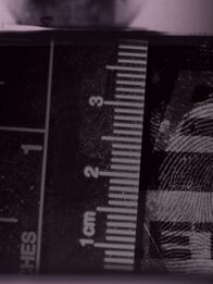 People Magazine: Investigativ – Sa, 28.09., 19:15 Uhr