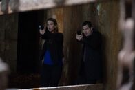 Unforgettable – Ermitteln in einem neuen Fall: Carrie (Poppy Montgomery, l.) und Al (Dylan Walsh, r.) ...