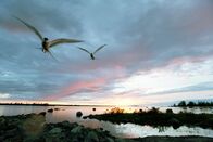 Wilde Ostsee – Helle Sommernacht auf dem Kvarken-Archipel zwischen Schweden und Finnland